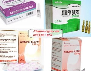 atropin la gi, gia thuoc atropin sulfat bao nhiêu, chi dinh su dung nhu the nao - nha thuoc gan