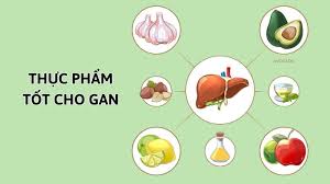 Gan yếu nên ăn gì? Gợi ý thực phẩm hỗ trợ gan khỏe mạnh
