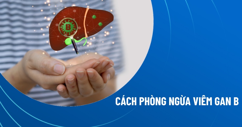 4 cách phòng ngừa viêm gan B hiệu quả 1 4 cách phòng ngừa viêm gan B hiệu quả
